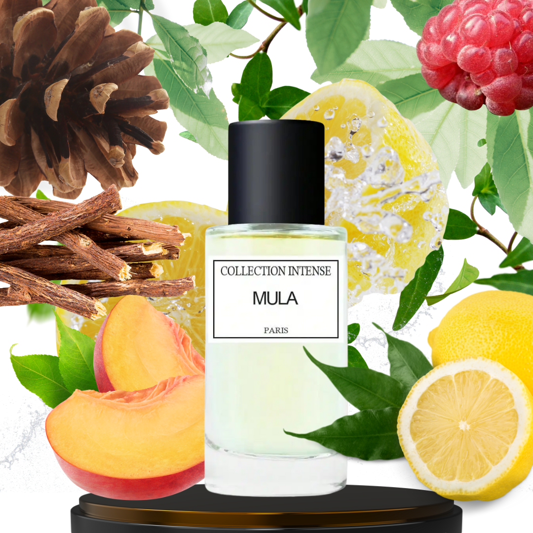 COLLECTION INTENSE MULA