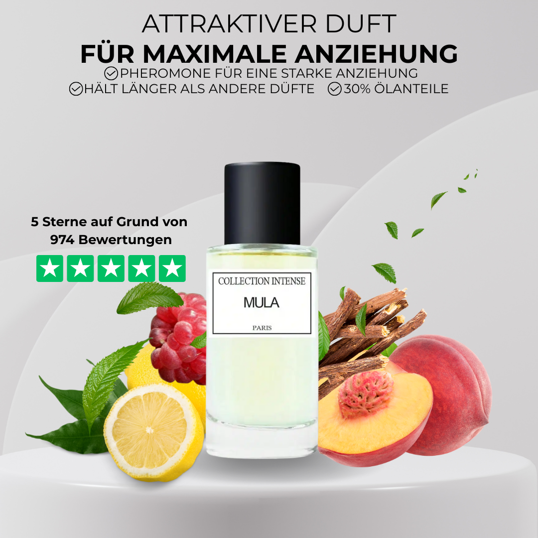 COLLECTION INTENSE MULA