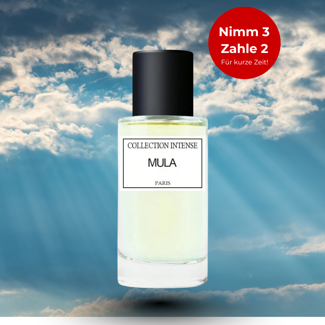 COLLECTION INTENSE MULA